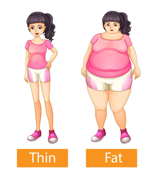 best weight loss product